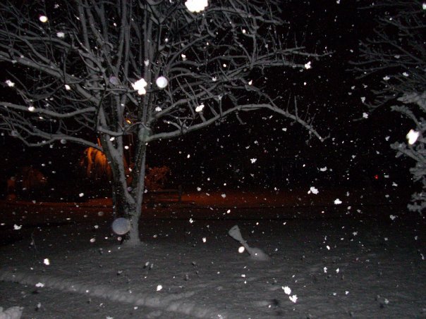 Donald Austin's album, Feb 2010 Snow