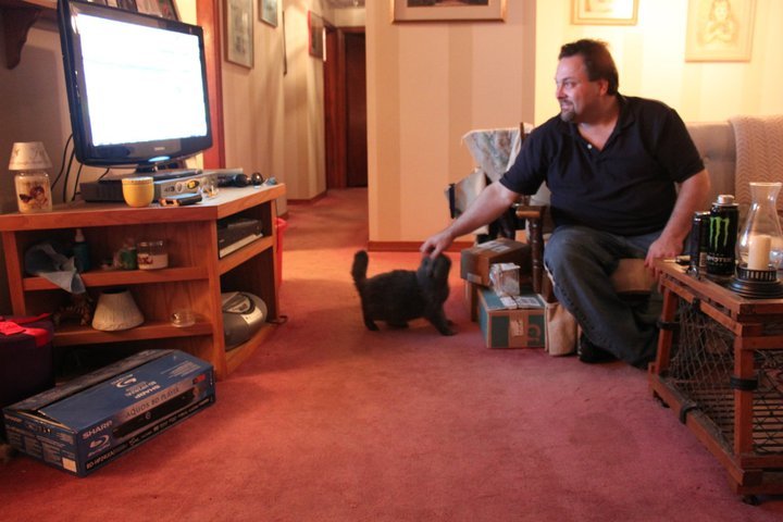Stephen Alfieri's album, June 20, 2011