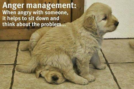 Cynthia Angell's album, Timeline Photos