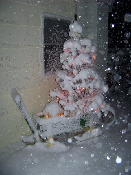 Kathryn Pfendler's album, snow day