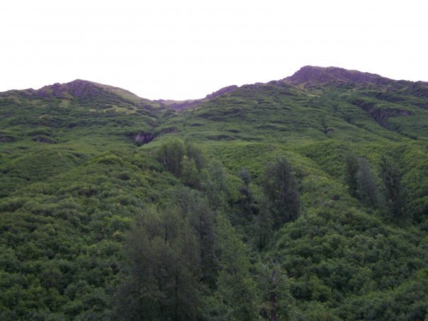 James Young's album, Alaska 2007, Mark II