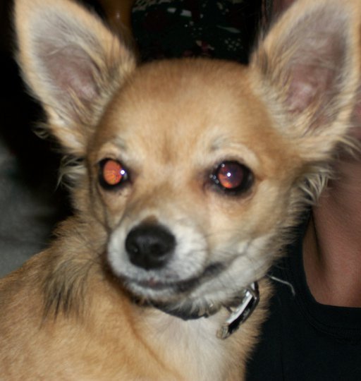 Judy dotson's album, Profile Pictures