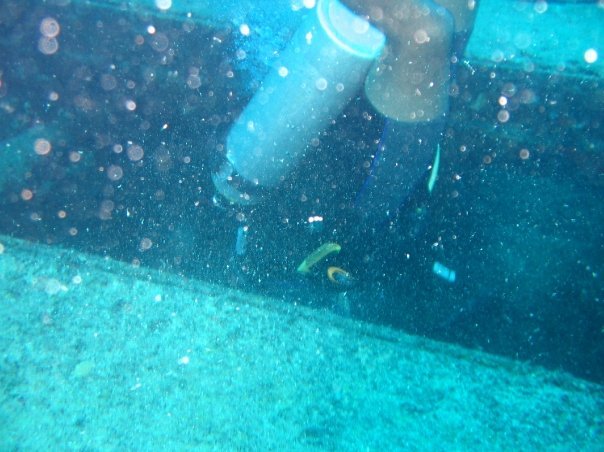 Steven Clem's album, St Maarten Diving