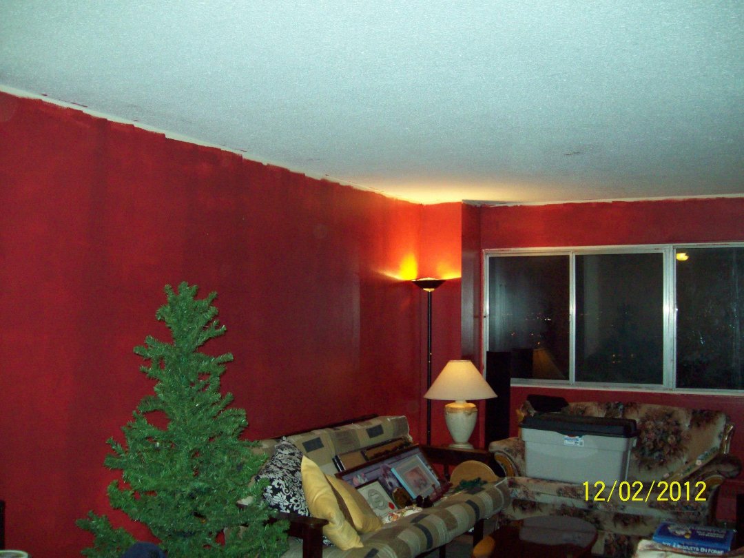 Patrick O'Quinn's album, My Newly Painted LivingRoom Did My Self
