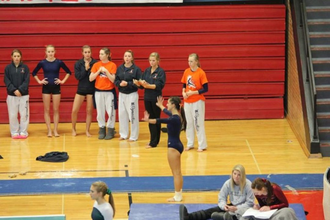 Mike Mann's album, State Gymnastics