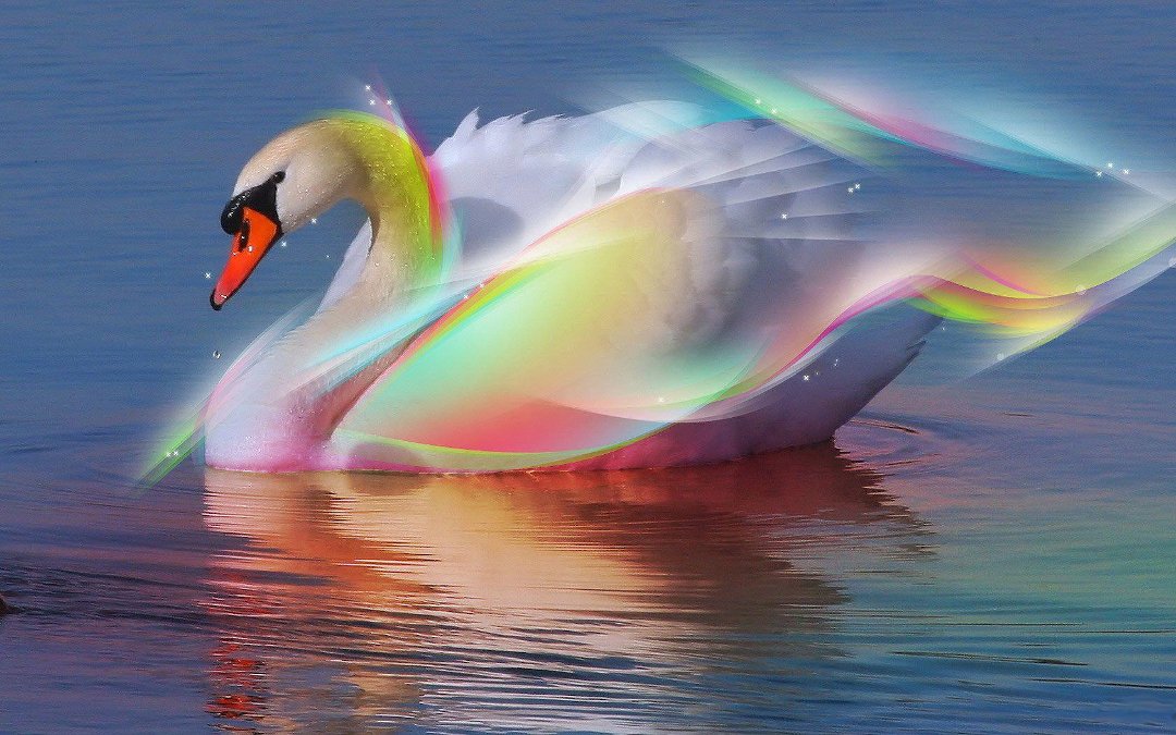 Janet Beard's album, Cover Photos