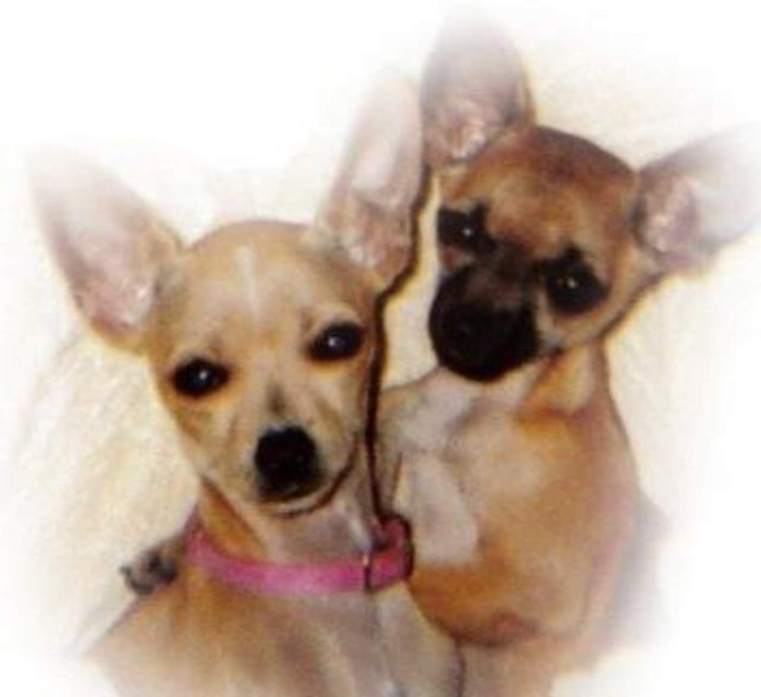 Jo Ann Lucas' album, Profile Pictures