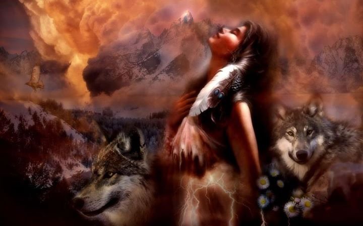 Nancy Biederman's album, Cover Photos