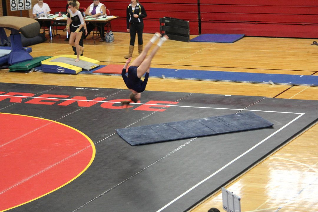 Mike Mann's album, State Gymnastics