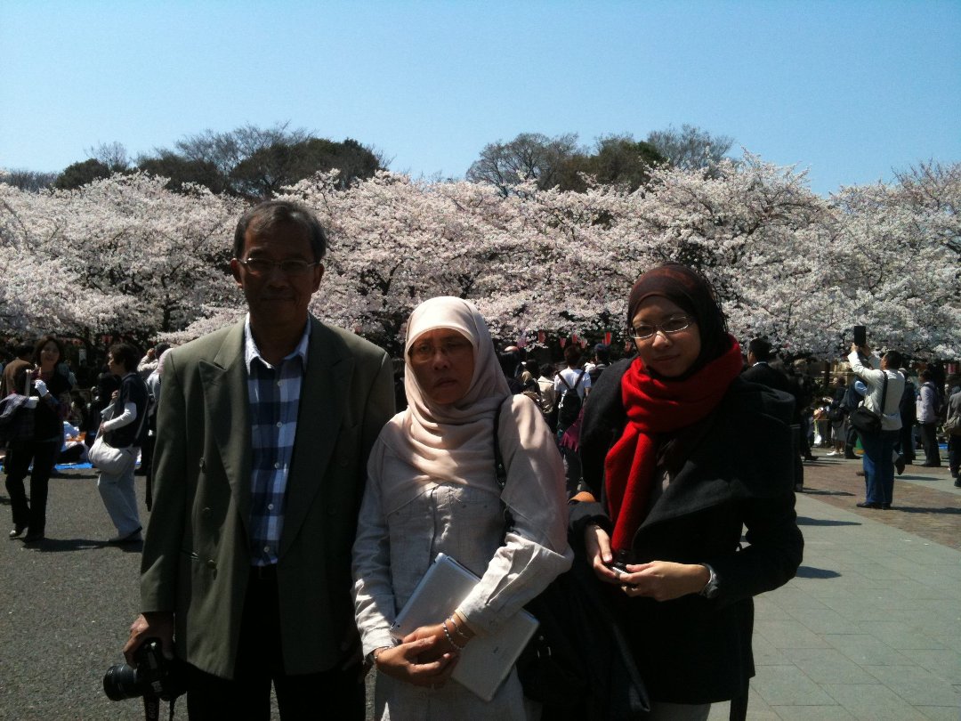 Robiah Adnan's album, Mobile Uploads