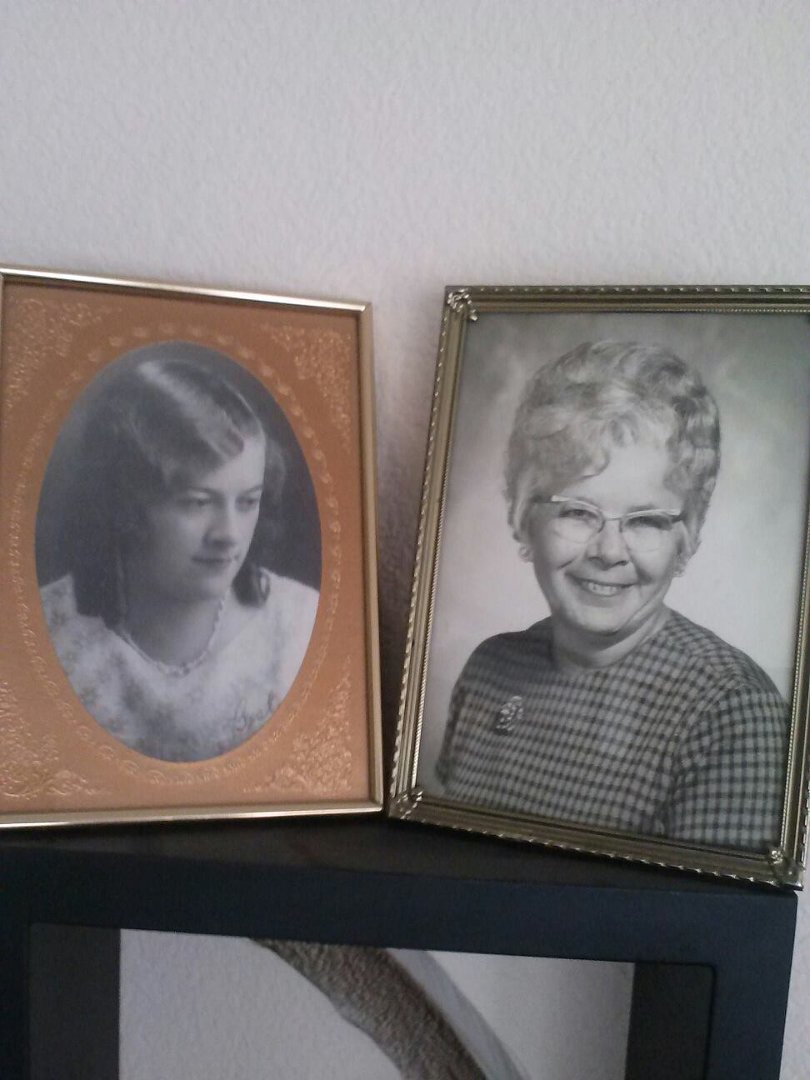 Barbara Barr's album, Mobile Uploads