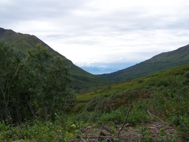 James Young's album, Alaska 2007, Mark II