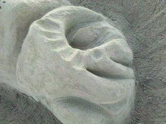 Michael Ludwig's album, Santa Cruz Sand Sculpture