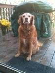 Nancy Haag's album, Timeline Photos