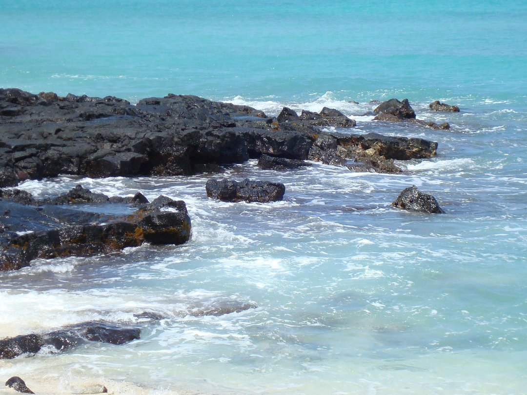 Janet Baldasare's album, Cover Photos
