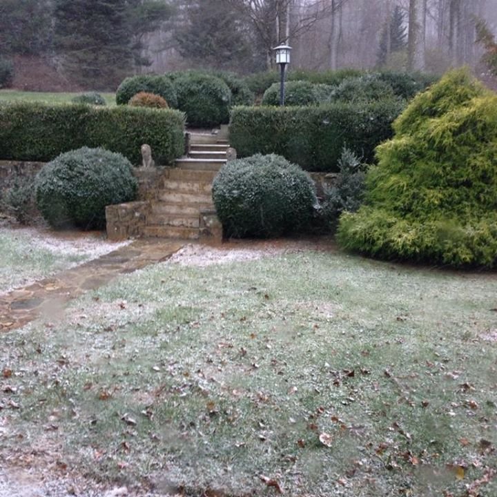 C. Baker Johnson's album, Timeline Photos