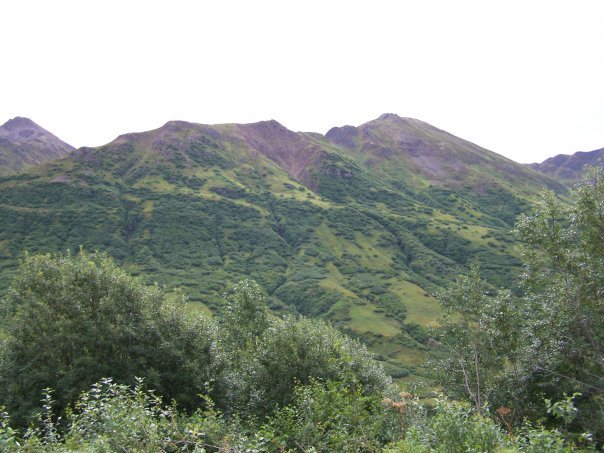 James Young's album, Alaska 2007, Mark II