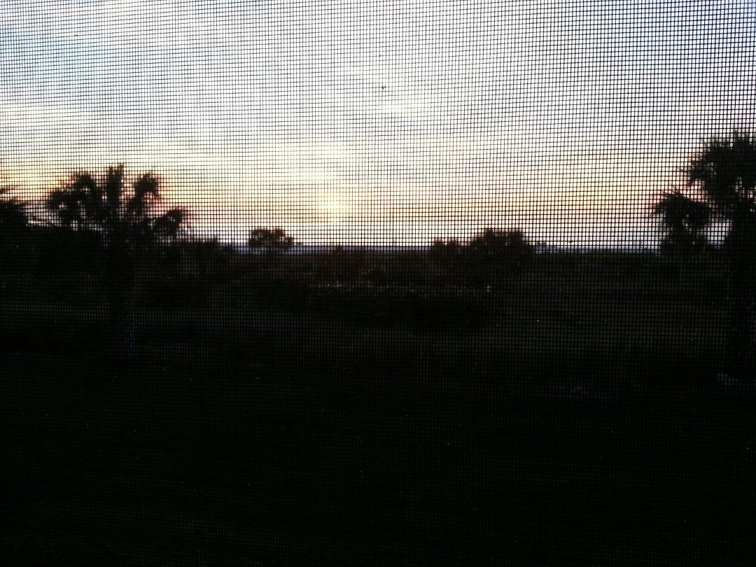 Phillip Lindberg's album, Mobile Uploads