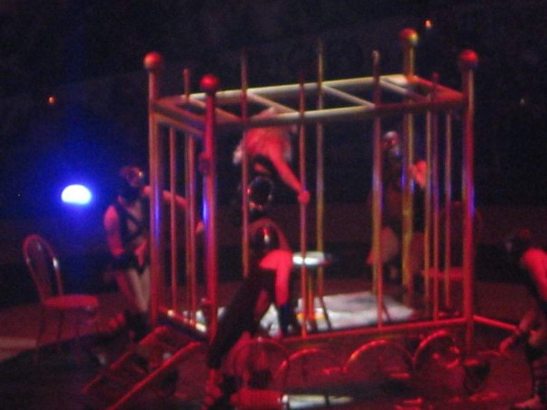 Alyssa Perry's album, Britney Spears Concert