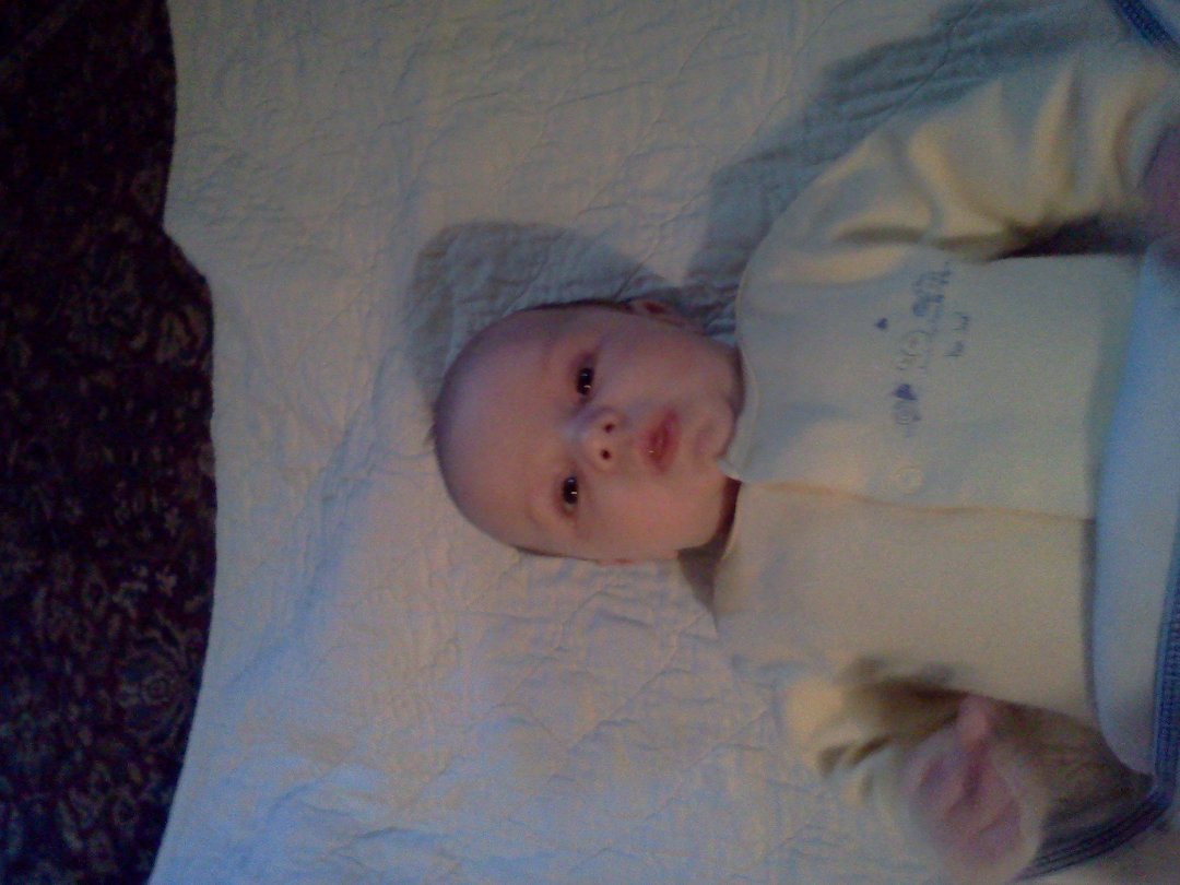 Patricia Kazort's album, LG Phone Photos
