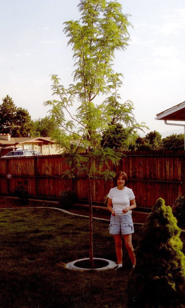 Jeanene Jensen's album, Profile Pictures
