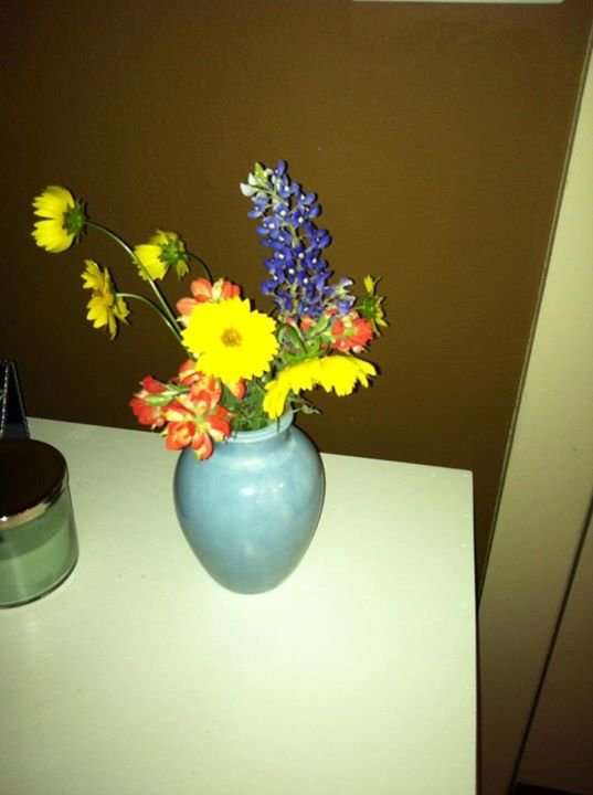Julia Wise's album, Mobile Uploads