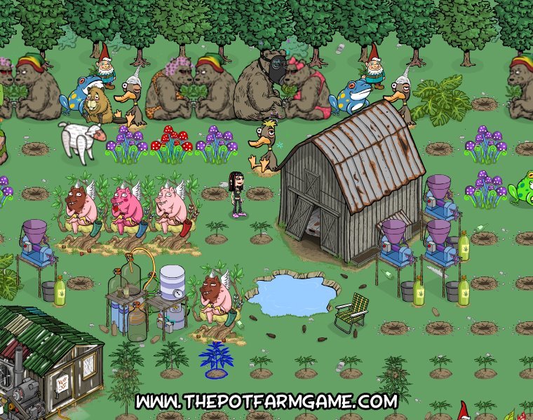 Carol Haston's album, Pot Farm Photos