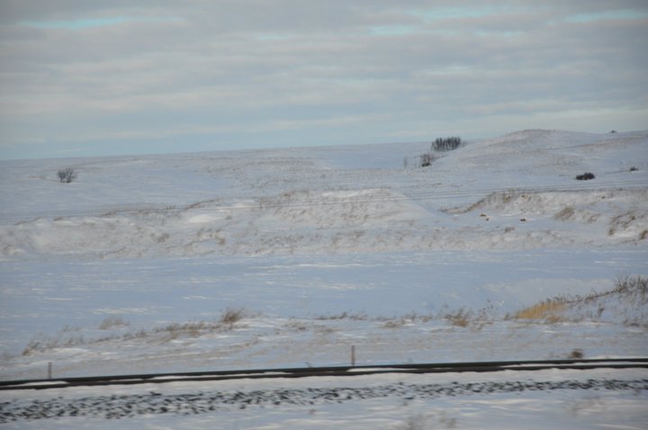 Edward Asbert's album, Cananda trip January , 2011