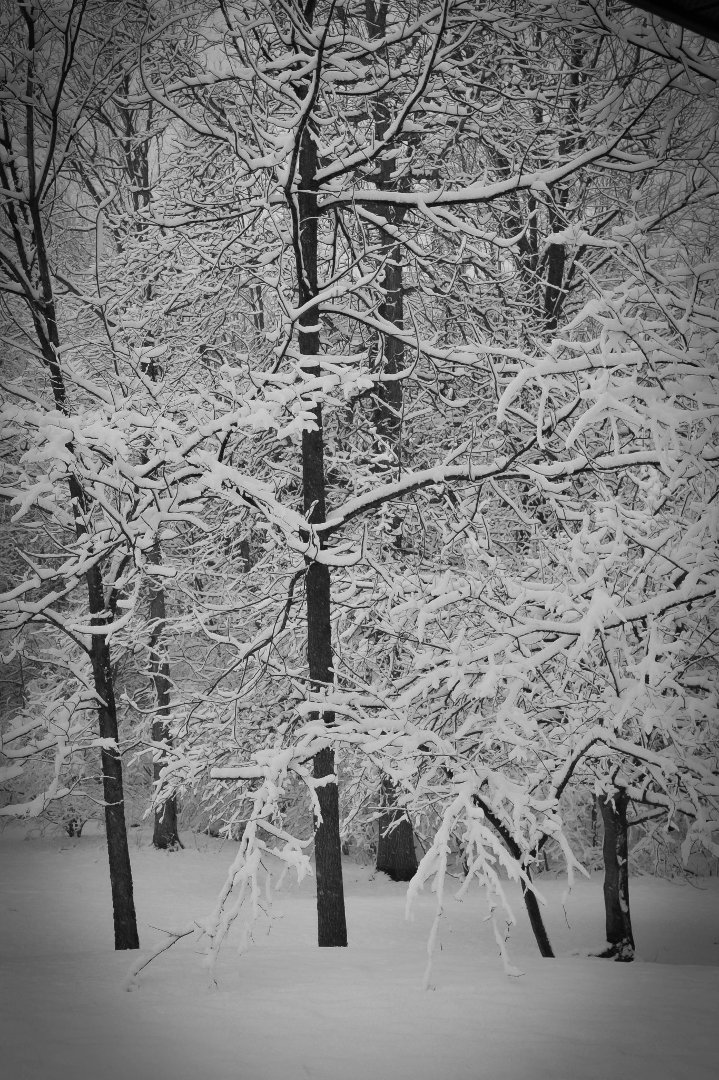 Bryn Asbury's album, Timeline Photos