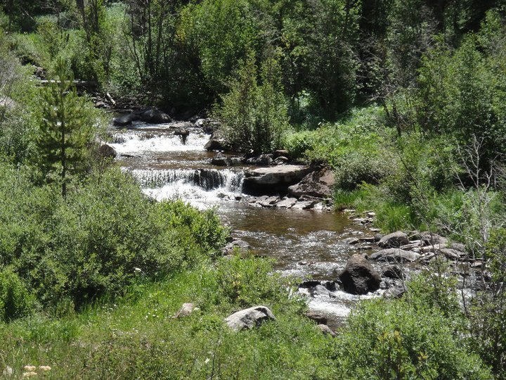 Sam Meals' album, Vail, 2010