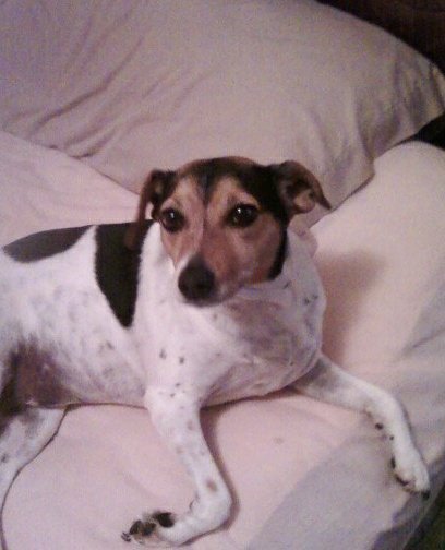 Patsy McLeroy's album, Profile Pictures