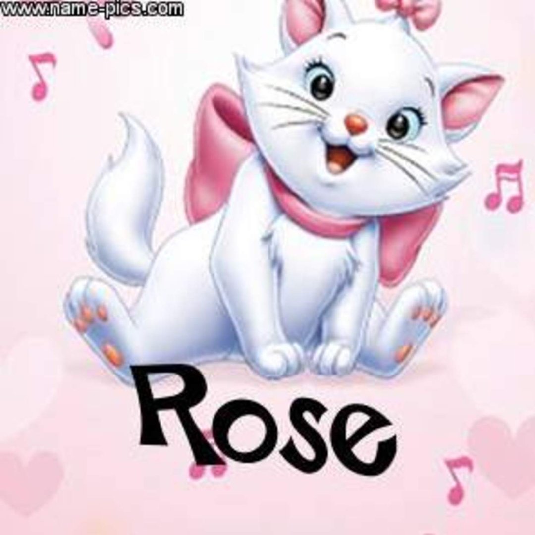Vickie Sears' album, Timeline Photos