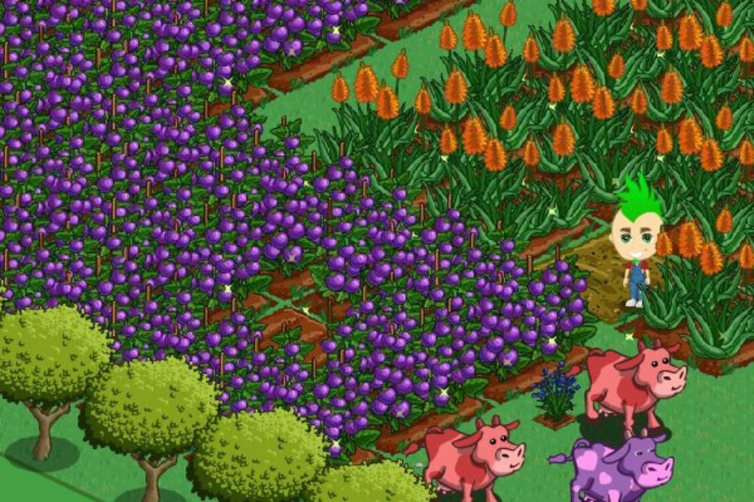 BRIAN HALL's album, FarmVille Photos