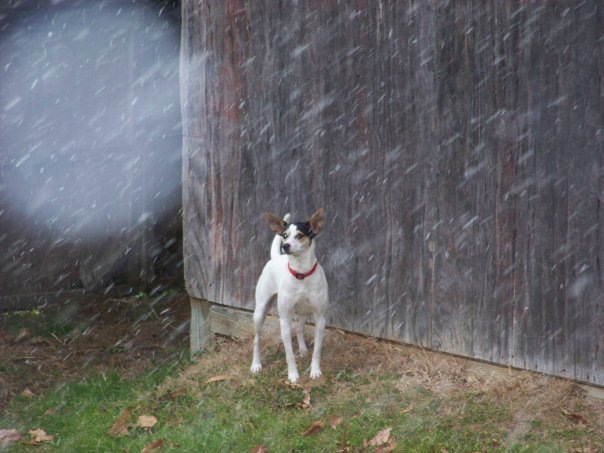 Gary Gardner's album, Snow