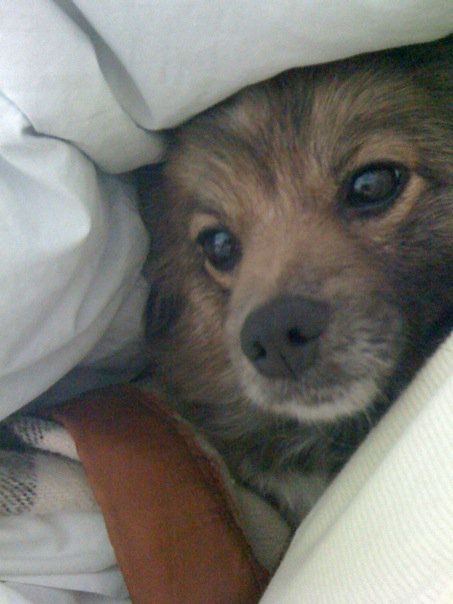 Lisette Bourne's album, Mobile Uploads