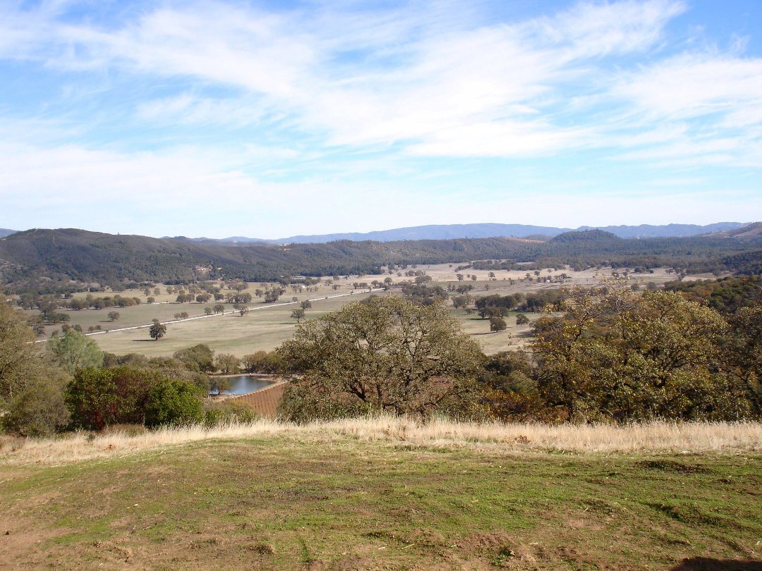 michael terrell's album, napa
