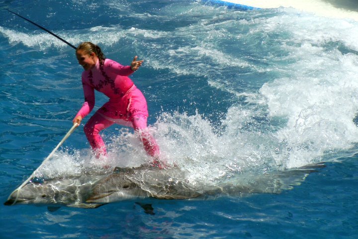 Sonia Lee's album, Sea World San Diego