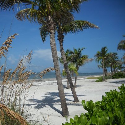 Michelle Carlson's album, Cover Photos
