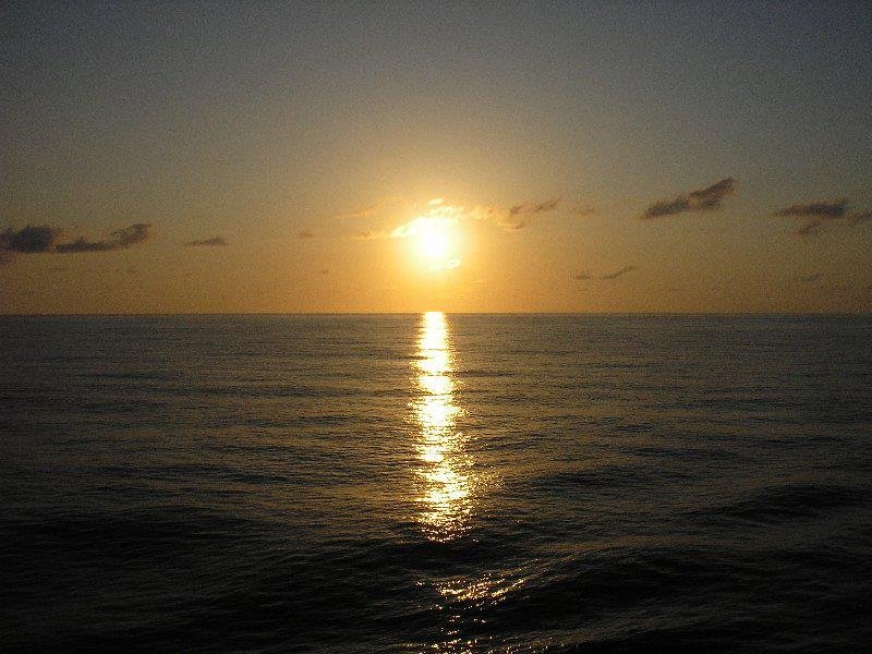 Robin Rice's album, Cover Photos