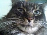 Ellen Conley Brink's album, Profile Pictures