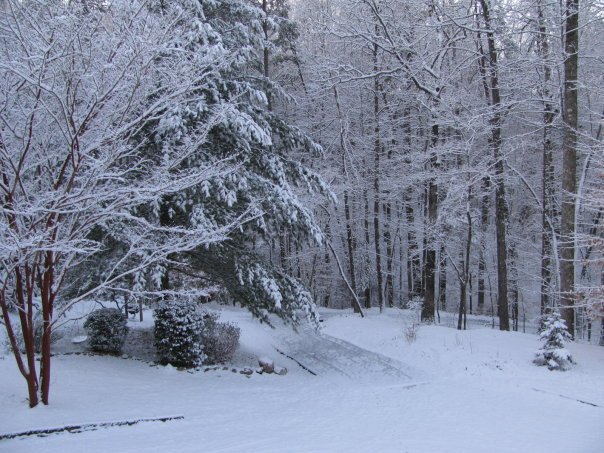 Tom Hellgeth's album, Snow time at Rogers Creek