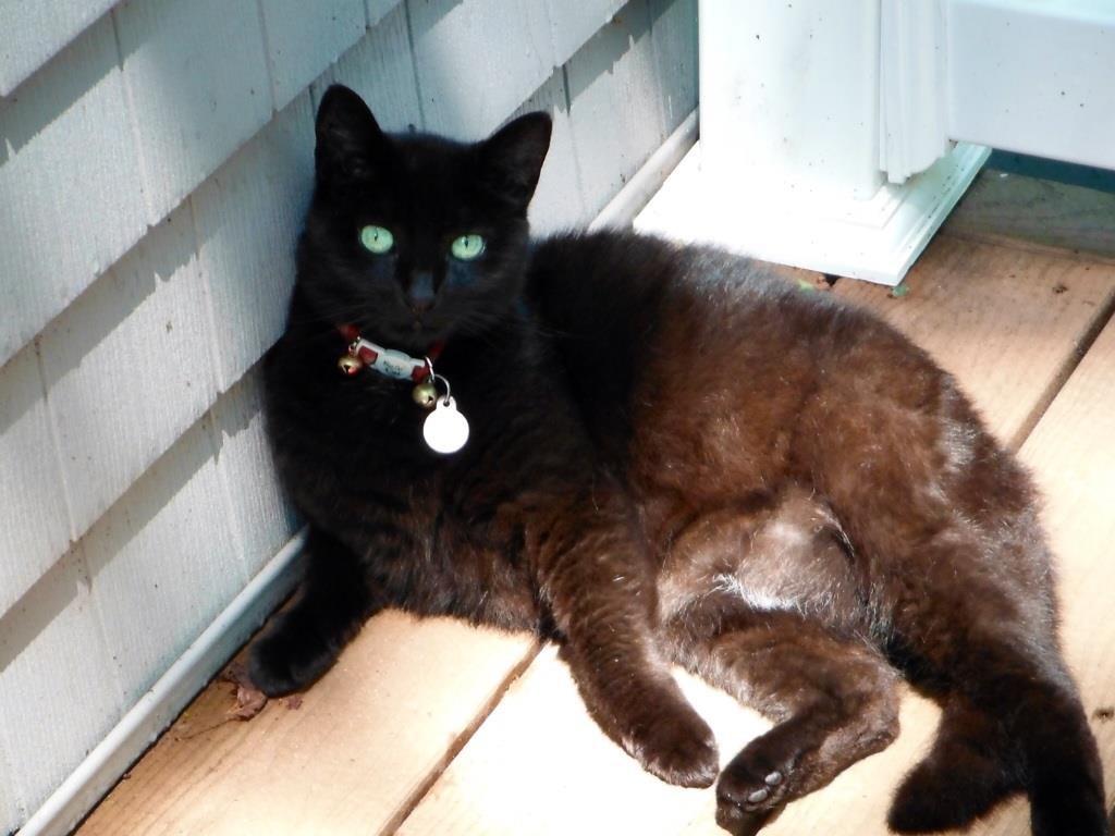 Janet Baldasare's album, iOS Photos