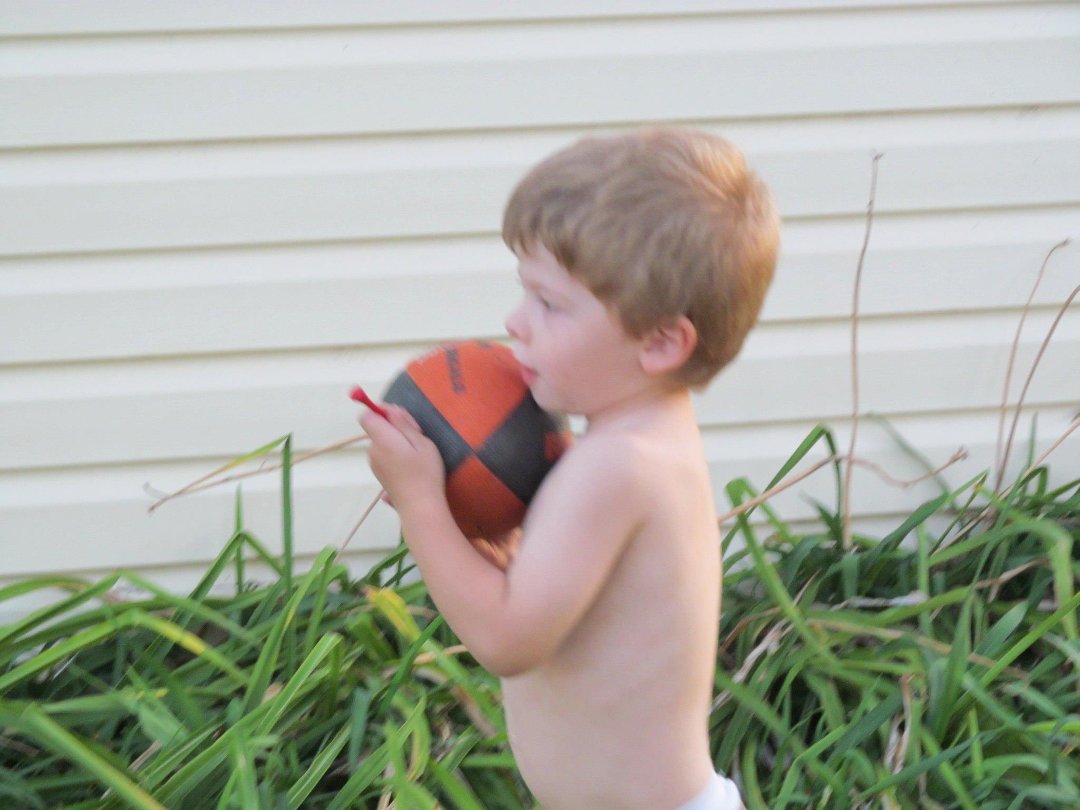 Robert Loftin's album, Kian & Wyatt at Weskan