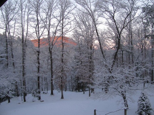 Tom Hellgeth's album, Snow time at Rogers Creek