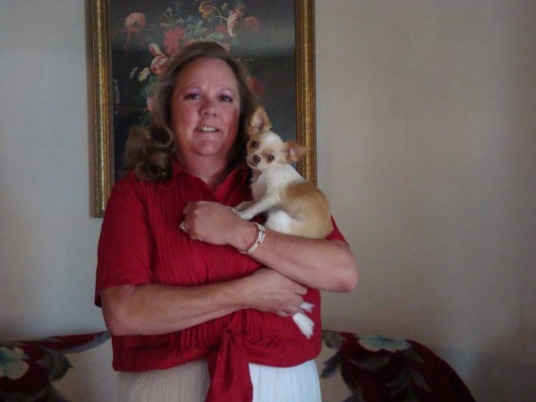 Susan Beason's album, Profile Pictures
