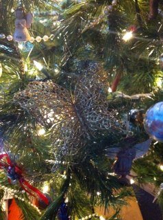 Vicky Caracciolo's album, iOS Photos