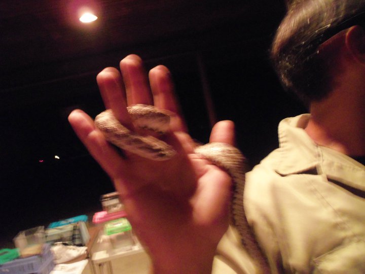 Barbara Reid's album, May 28, 2011