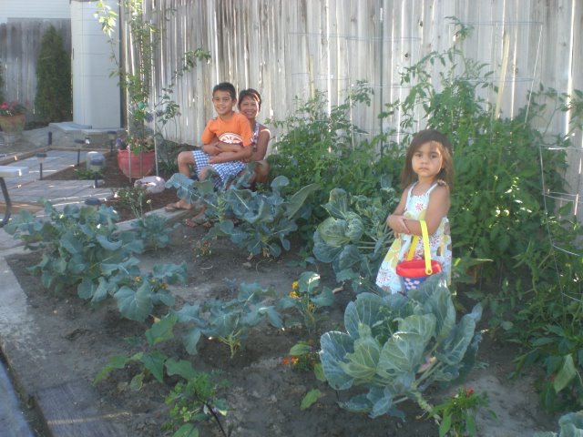 Ed Higginbotham's album, Grandchildren Visiting, Summer of 2011