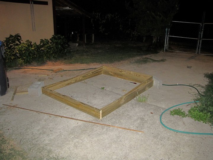 Rudy Volkmann's album, vine borer barrier
