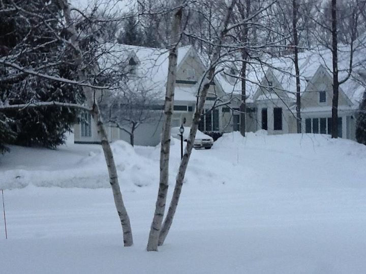 Paul Knapp's album, Our Michigan Home